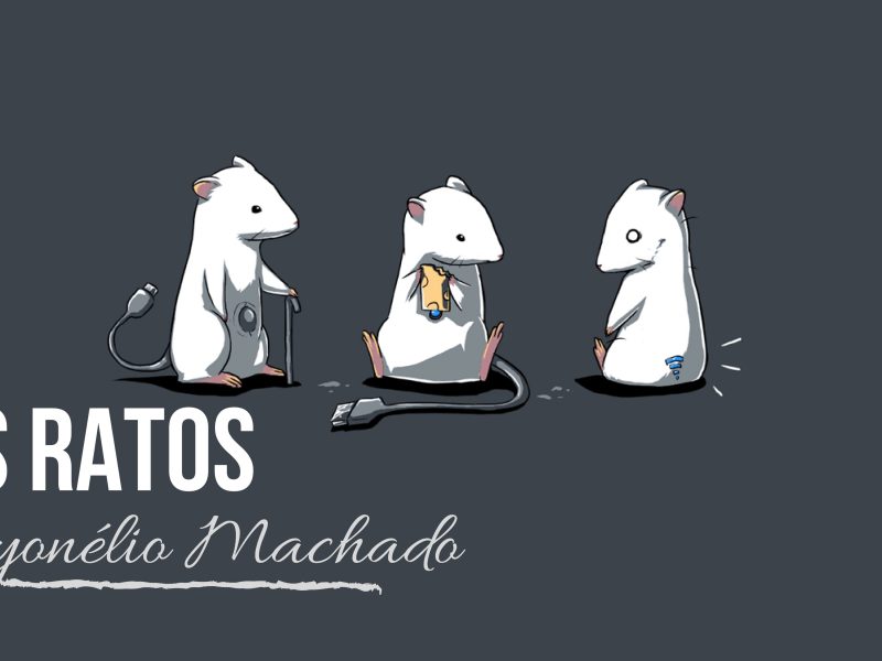 os ratos-01